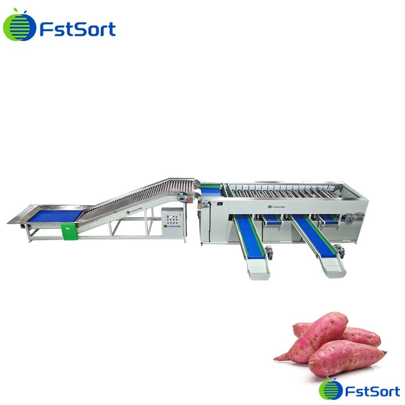 images/1761129250718sweet potato processing equipment.jpg